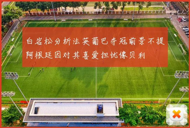 白岩松分析法英葡巴夺冠前景不提阿根廷因对其喜爱担忧像贝利